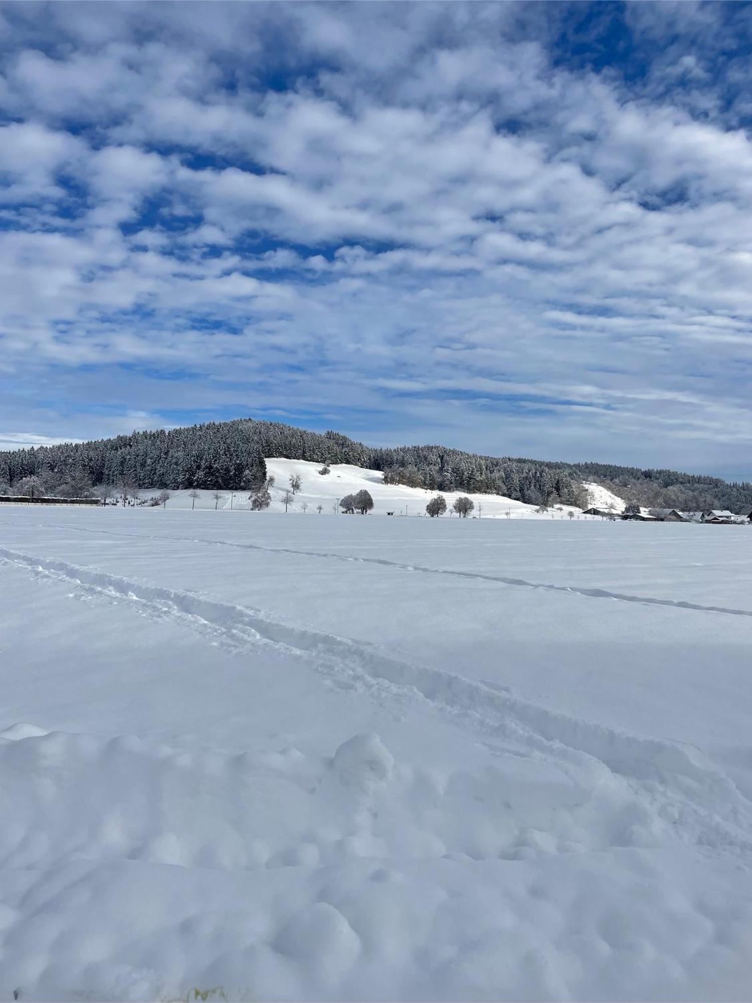 Salty Sol Lejlighed Leutkirch im Allgäu Eksteriør billede