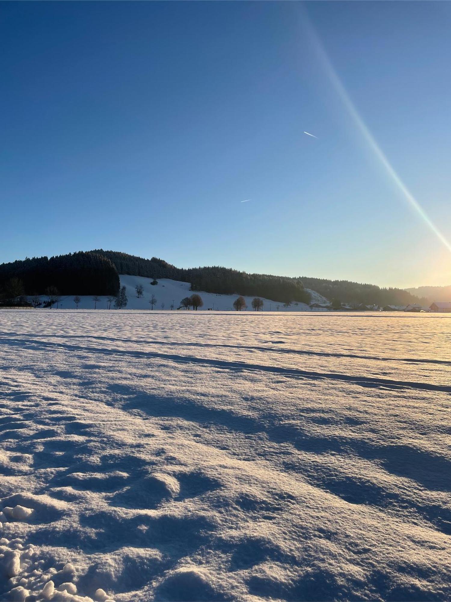 Salty Sol Lejlighed Leutkirch im Allgäu Eksteriør billede